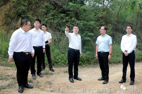 韦庆强到石龙镇调研林长制、松材线虫病防治情况