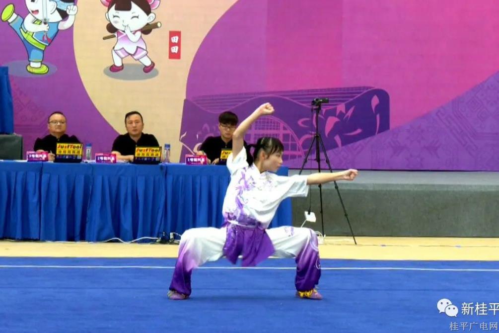 广西第十五届运动会武术套路比赛开幕
