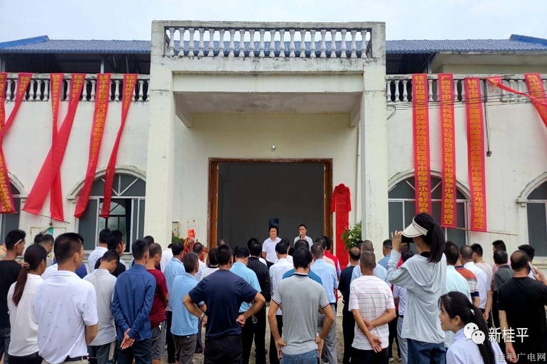 贵港市首个乡镇级小龙虾协会成立并揭牌