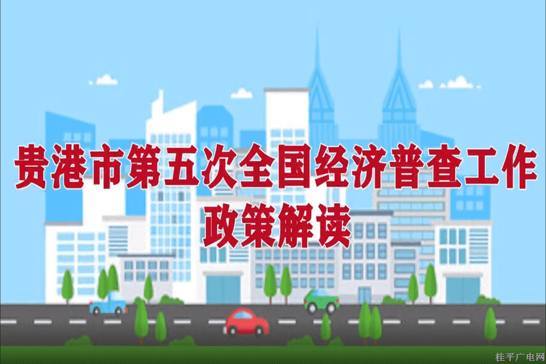 【五经普】贵港市第五次全国经济普查工作政策解读